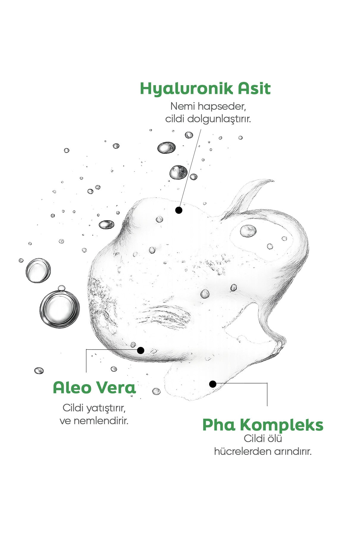 Nazik & Nemlendirici Yüz Temizleme Jeli – Hyaluronik Asit, Aloe Vera ve PHA Kompleksi İçerikli 200 ml